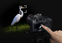 De ontwikkeling van geavanceerdere autofocus-systemen Canon, reiger, Dual Pixel CMOS