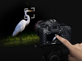 Canon, reiger, Dual Pixel CMOS
