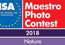 EISA Maestro Public’s Choice Award 2018 Eisa Maestro Photo Contest 2018
