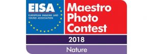 Eisa Maestro Photo Contest 2018