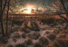EISA Maestro Photo Contest 2018 – de nationale winnaars EISA Maestro Photo Contest 2018