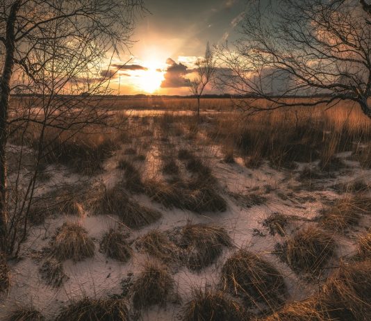 EISA Maestro Photo Contest 2018 – de nationale winnaars EISA Maestro Photo Contest 2018