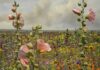 De pracht van het Hollandse landschap – Saskia Boelsums Saskia Boelsums