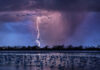 The Art of Wildlife Photography Kearny, Verenigde Staten. © Randy Olson