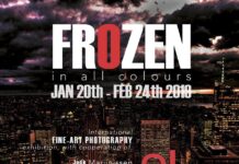 Galerie TON: FROZEN In All Colours