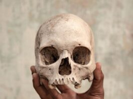 Sony World Photography Awards 2019