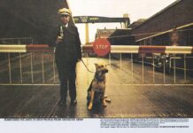 Reclamefotografie 6: VAT 69 VAT 69