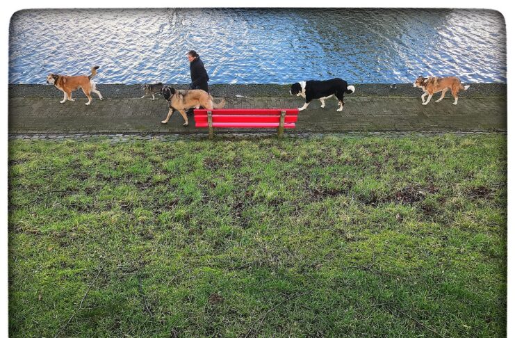 Slow photography in Culemborg