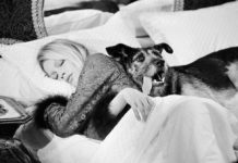 A tribute to Terry O’Neill Terry O'Neill