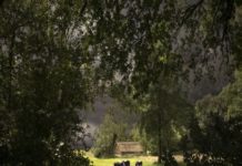Online tentoonstelling Saskia Boelsums