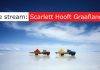 PHOTO020 – Webinar met Scarlett Hooft Graafland focus-magazine-photo020-webinar