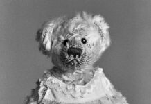 Helena van der Kraan: Beer & Teddy