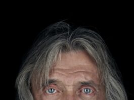 Johan Derksen
