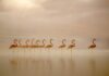 Reclamefotografie 13: AKZO AKZO
