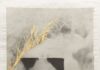 Galerie Caroline O’Breen: Margaret Lansink & Miho Kajioka Galerie Caroline O'Breen