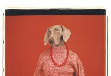 William Wegman: Being Human William Wegman