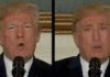 Software tegen deepfake’s deepfake van nicolas cage als trump