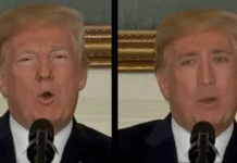 Software tegen deepfake’s deepfake van nicolas cage als trump