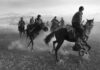 HORSE HEAD door Frederik Buyckx Frederik Buyckx