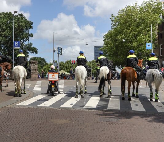 Sandra Uittenbogaart: NVF Het fotomoment Sandra Uittenbogaart