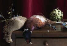Frank van Driel – The Art of Perception Frank van Driel