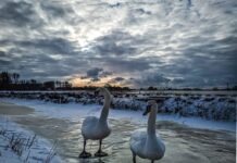 Winnaars De Groene Koepel fotowedstrijd