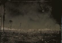 Sally Mann wint Prix Pictet 2021 Sally Mann