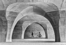 Harrie Coehorst wint National Award 2022 bij SWPA Harrie Coehorst