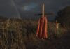 Amber Bracken wint World Press Photo of the Year! Amber Bracken