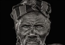 Robby Bolleyn – Afrique Sauvage Robby Bolleyn