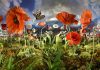 Flower Art Museum: Human Nature Flower Art Museum