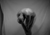 BLIK: eindexamenexpositie Fotoacademie