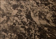 Lucas Leffler en Hans Bol bij Galerie Caroline O’Breen Caroline O'Breen