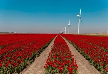 De 5 mooiste locaties om je auto op de foto te zetten auto