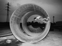 Ed Templeton: Wires Crossed Ed Templeton