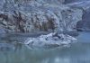 Tanja Engelberts – Dead River Tanja Engelberts