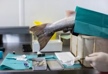Oog op de Natuur zoekt vijf nieuwe beeldprojecten Oog op de Natuur