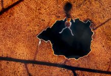 Binnenkort: PiXperience 2024 PiXperience