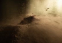 Vivian Ammerlaan wint van Vlissingen Art Foundation Prijs Vivian Ammerlaan