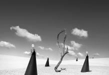 Binnenkort: Astrid Verhoef – Human//Nature Astrid Verhoef