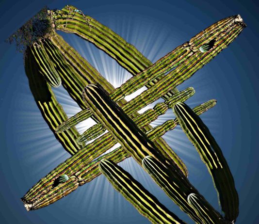 3D Sequences – Michel Szulc-Krzyzanowski 3D Sequences