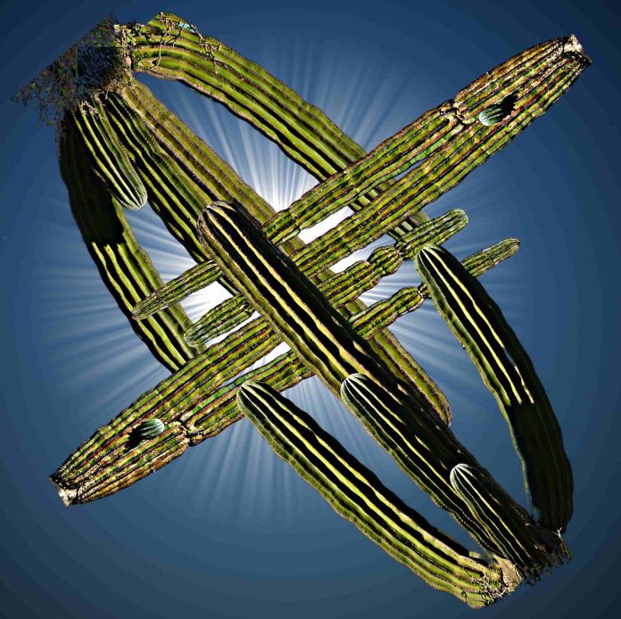 focus-magazine-Bahia Santa Ines satellite cacti 24-10-23@0.5x 3D Sequences