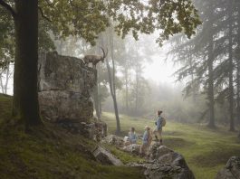 Jan Pypers – Diorama