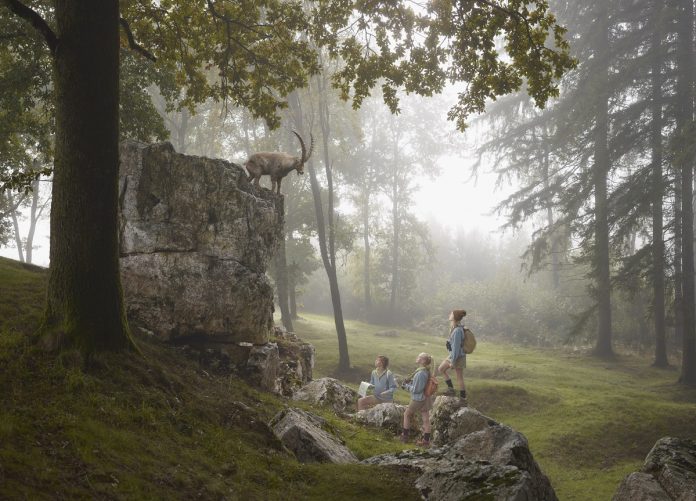 focus-magazine-diorama_ibex1_2000px