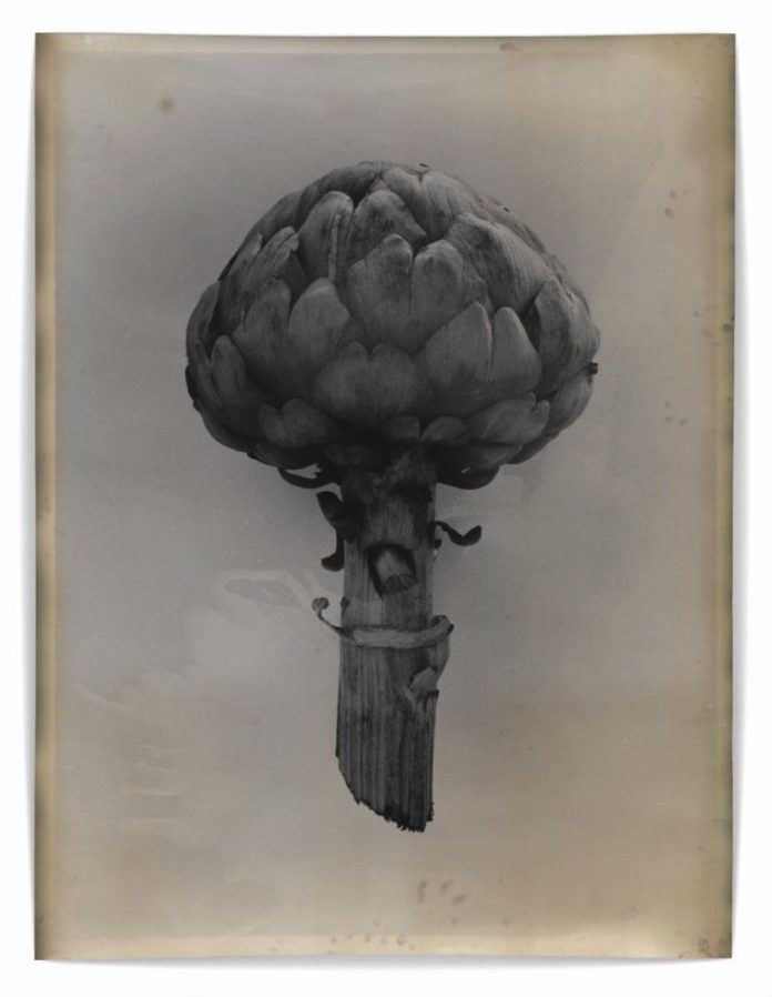 Jeff Cowen