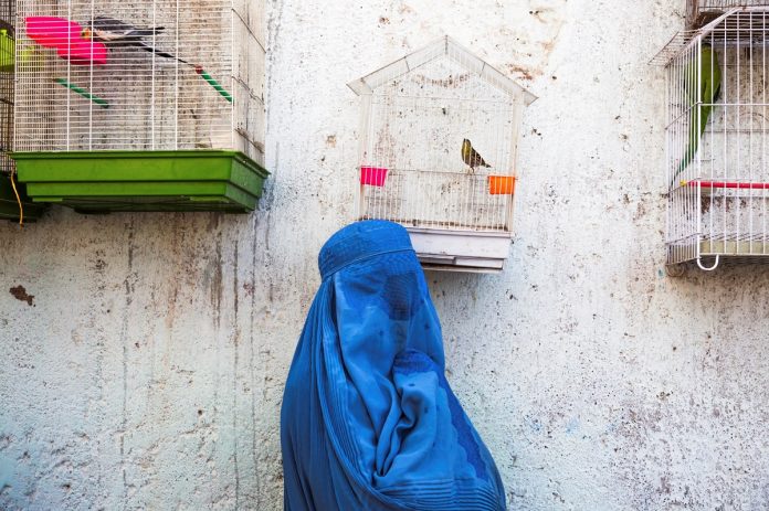 focus-magazine-Shaghayegh Moradiannejad 3-Afghanistan-serie over vrijheid LR I Am