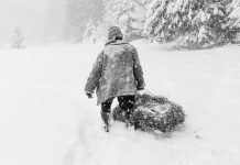 Frederik Buyckx – WOLF Frederik Buyckx