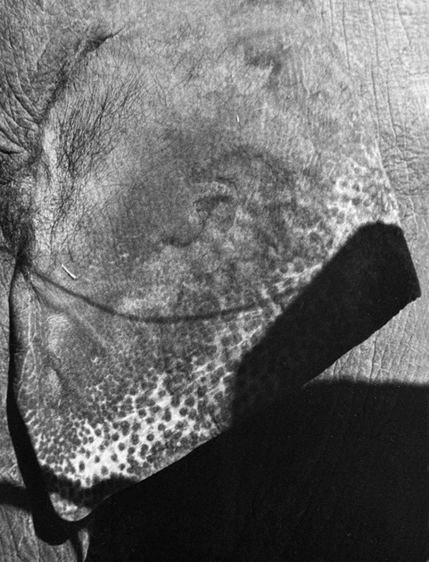 Charlotte Dumas