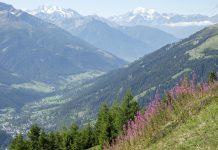 Basisdossier #5: kleurweergave kleur