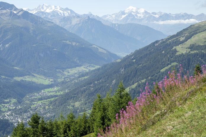 kleur